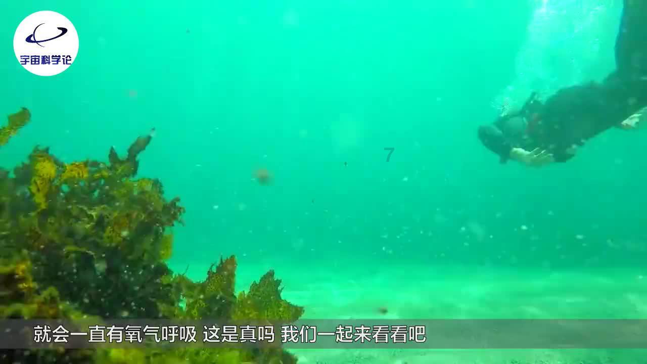 驱灵师